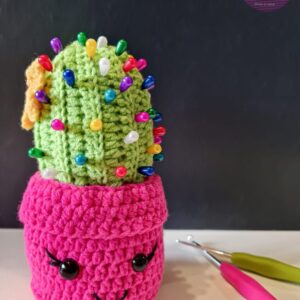 Cactus alfiletero