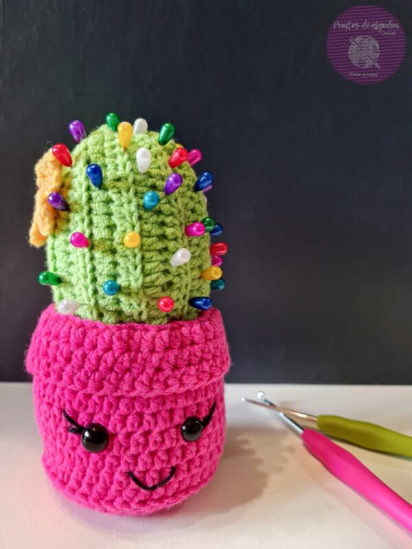 Cactus alfiletero